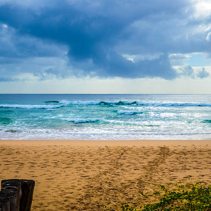Ponta do Ouro Mozambique